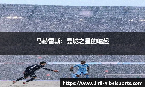 易倍体育官网