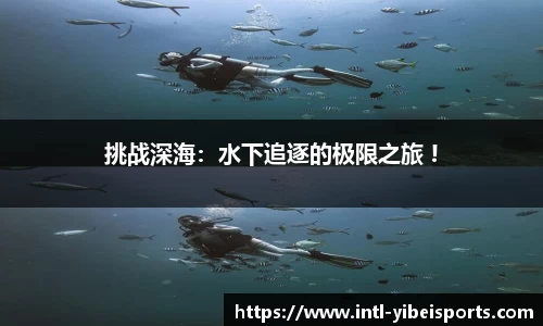 易倍体育官网